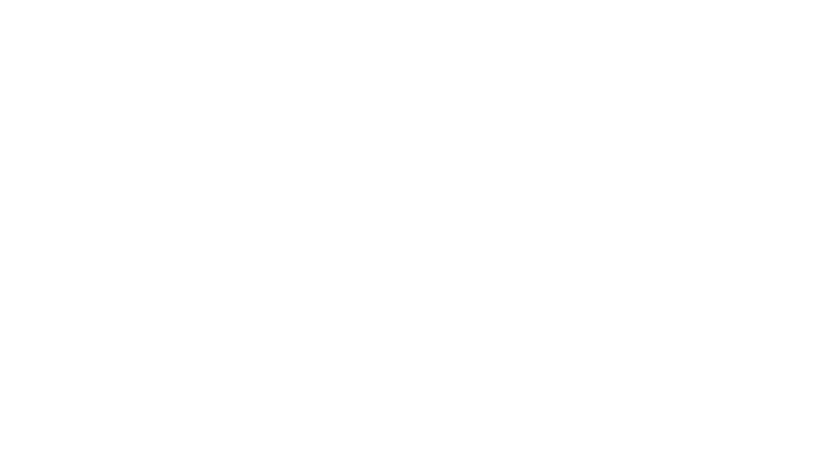Selenium Panorama 