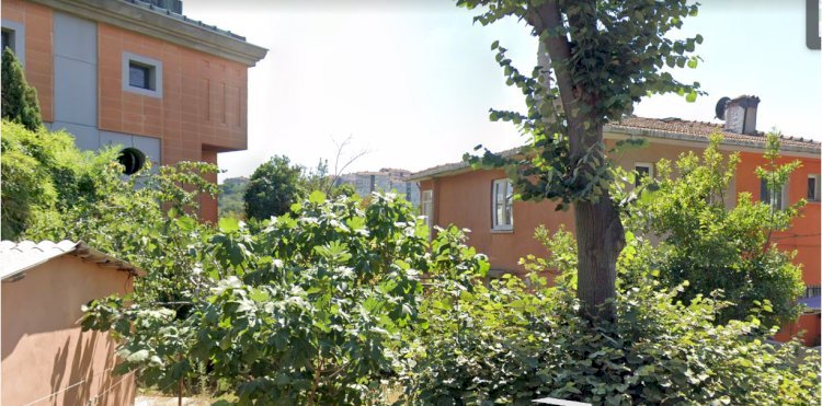 Arnavutköy Konakları- Kültür